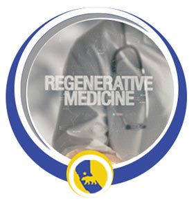 Regenerative Medicine Doctor Near Me in San Ramon, CA 