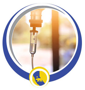 IV Push Add-Ons Therapy Near Me in San Ramon, CA